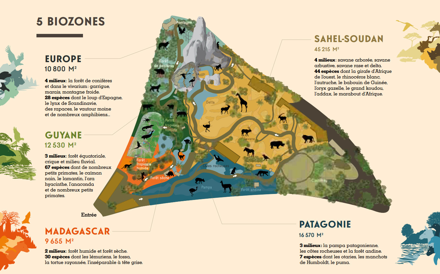 Paris : 5 ans, 5 nouvelles espèces au Parc Zoologique - Le Parisien