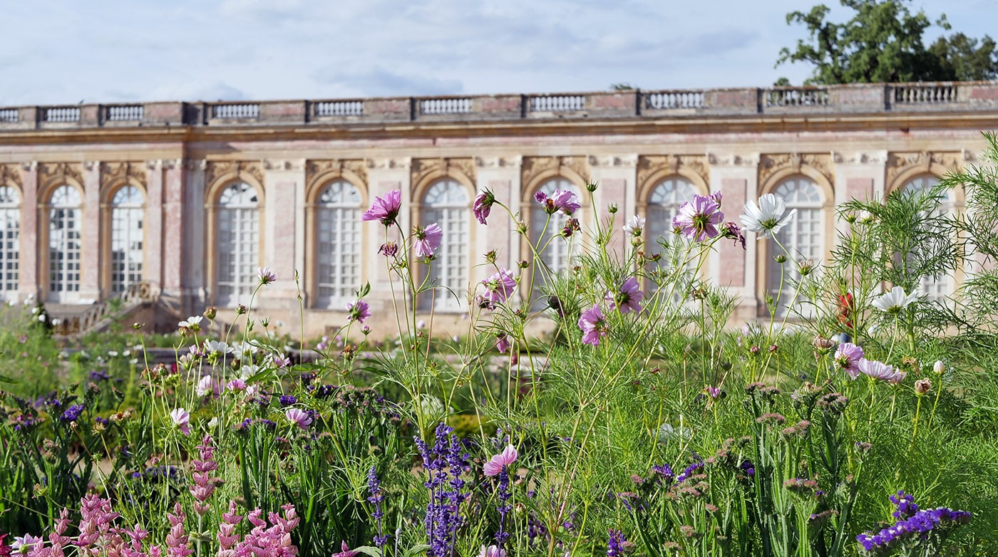 Creation of The Perfumer's Garden at the estate of Trianon