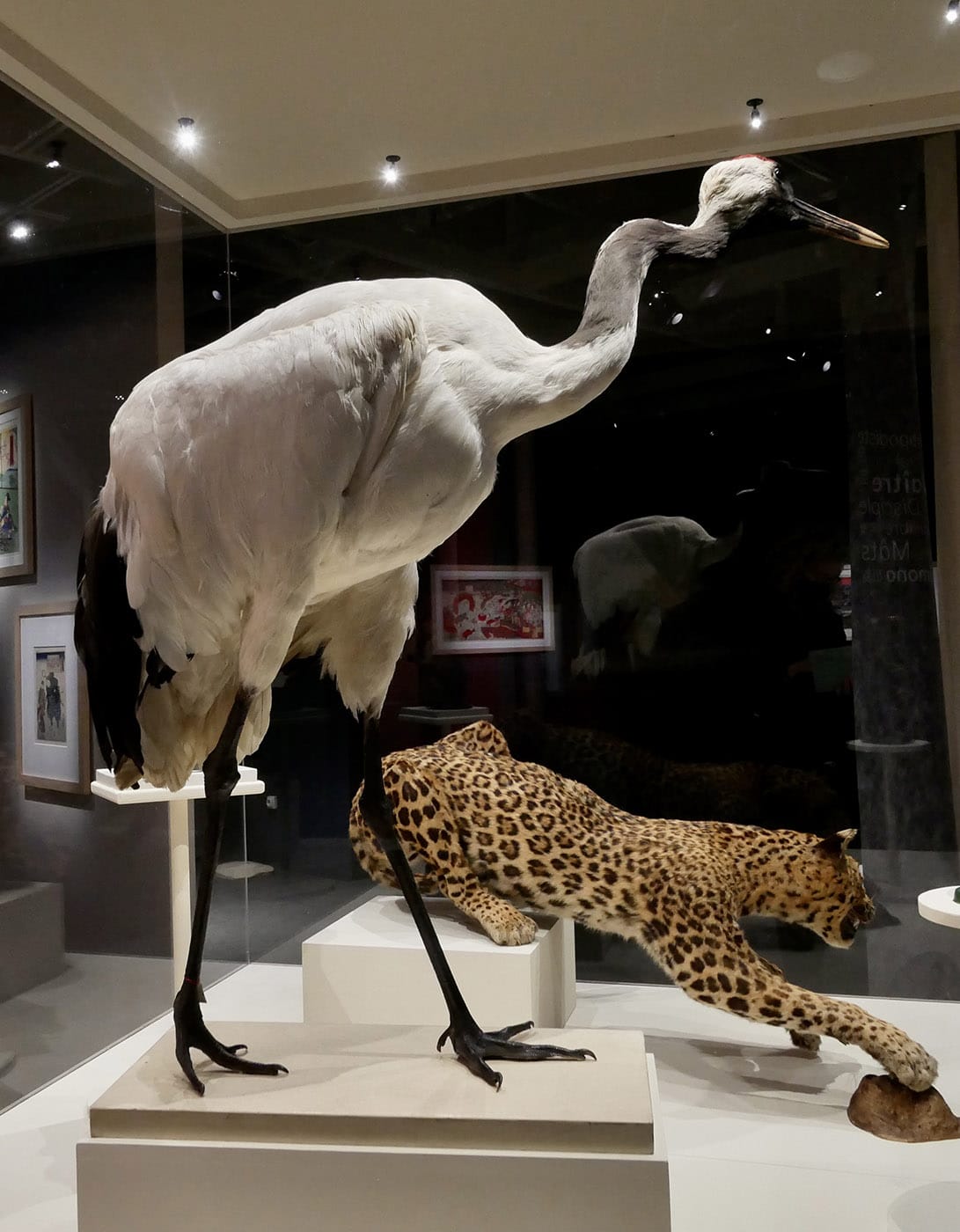 Rouen. Le cirque au musée des Beaux-Arts : une entrée en fanfare !