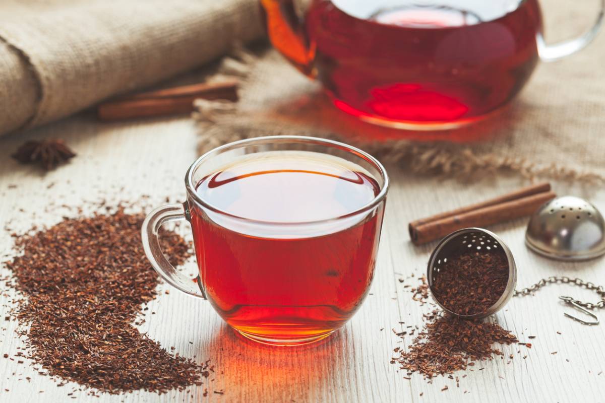 Le rooibos: une alternative au thé? Définition, propriétés et bienfaits