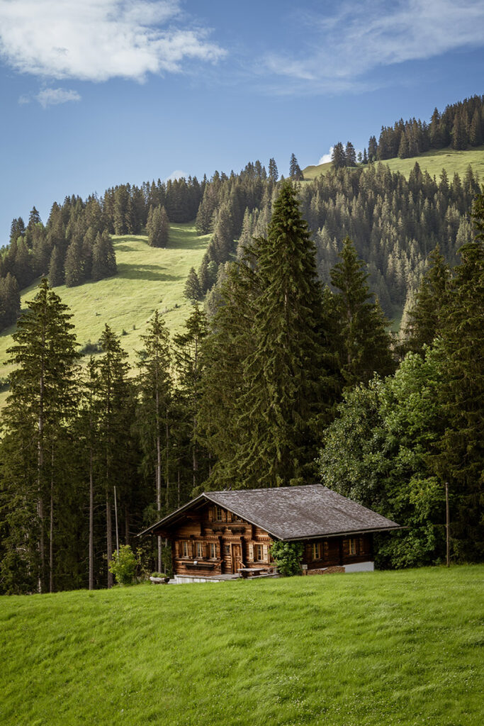 Visiter la Suisse en train : guide de voyage 15