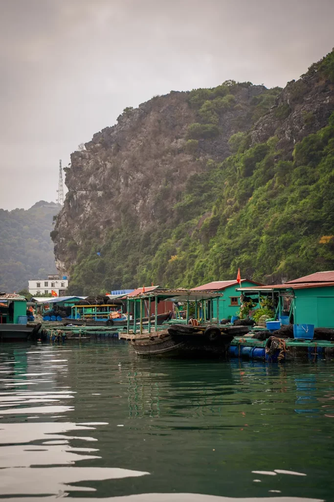 Visiter la Baie d’Halong : guide pratique 9