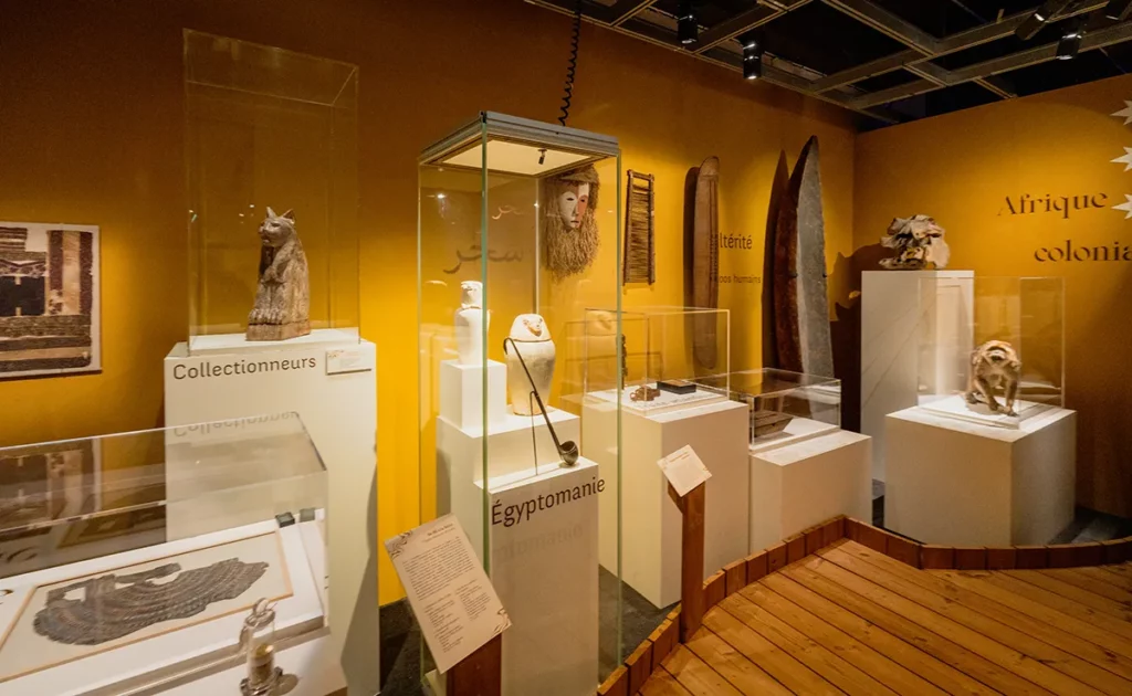 Le Temps des Collections : 7 expositions gratuites dans les musées de Rouen 6