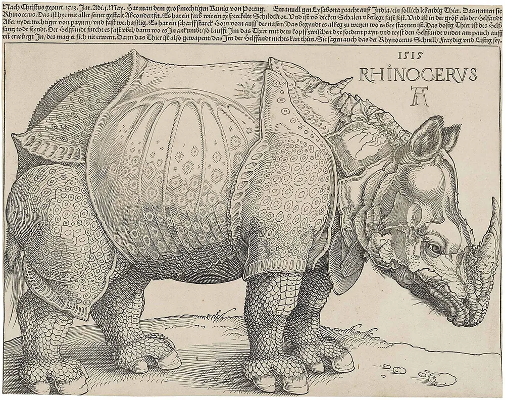 The rhinoceros of the château d'If